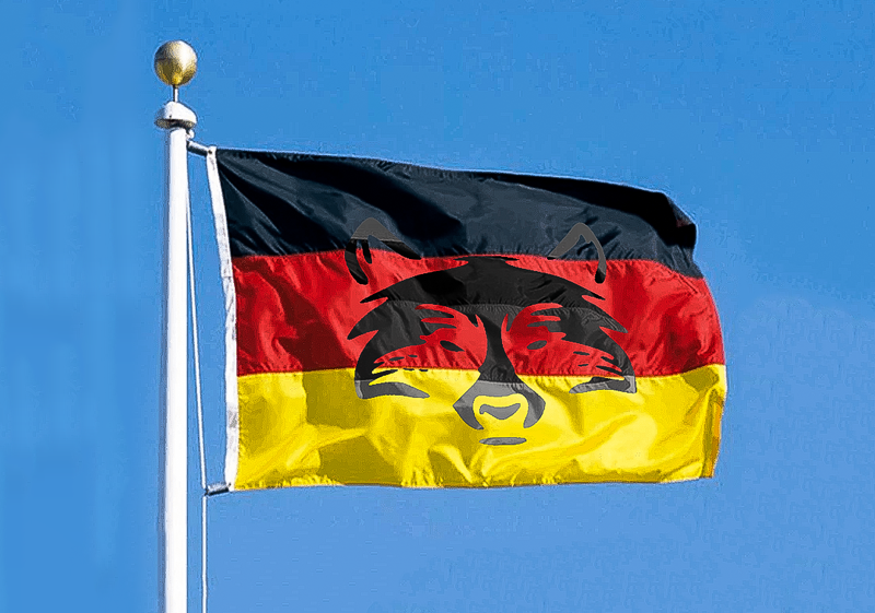 Image de l'actualité